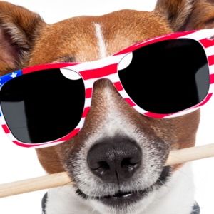 Meet your Posher, Marc